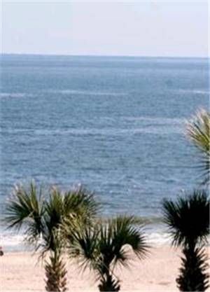 Apartamento Ocean Song At Beachside Colony Tybee Island Exterior foto